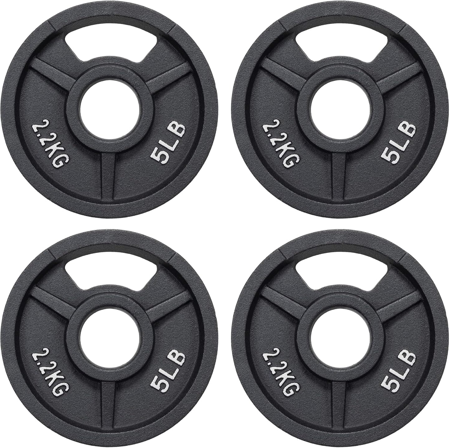 Fitvids Standard Cast Iron 1-Inch Weight Plate for Strength Training & Weightlifting, Multiple Weights Available, 5LB (Set of 4)